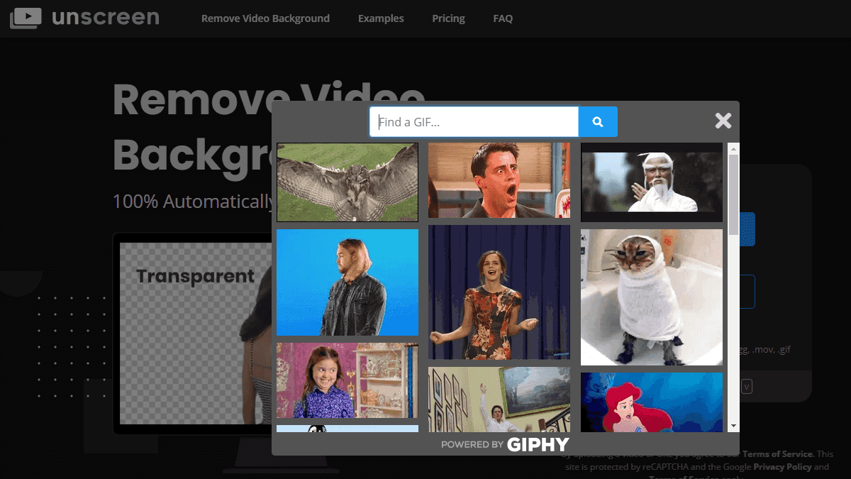 點選「Search GIF」挑選 GIPHY 的免費 GIF 圖片進行去背測試