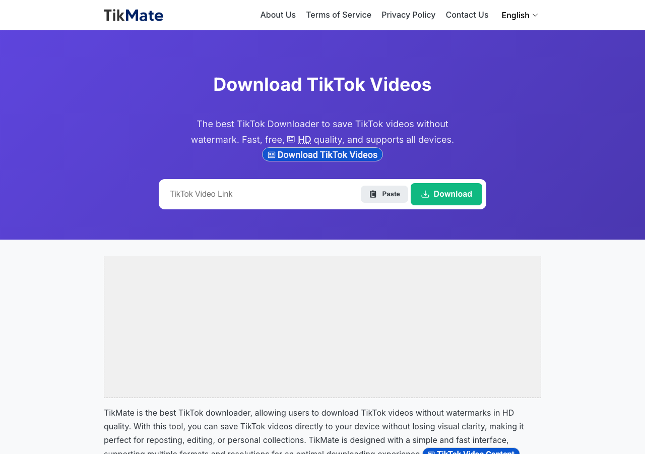 TikMate 網頁的空白 TikTok 連結欄位與隱私政策導覽
