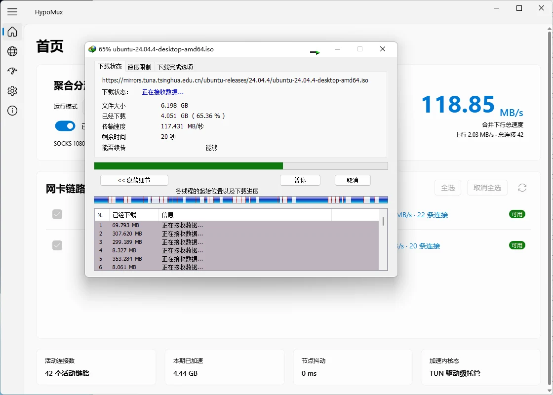 IDM 多執行緒下載時多張網卡同時吞吐的實測截圖（官方 README）