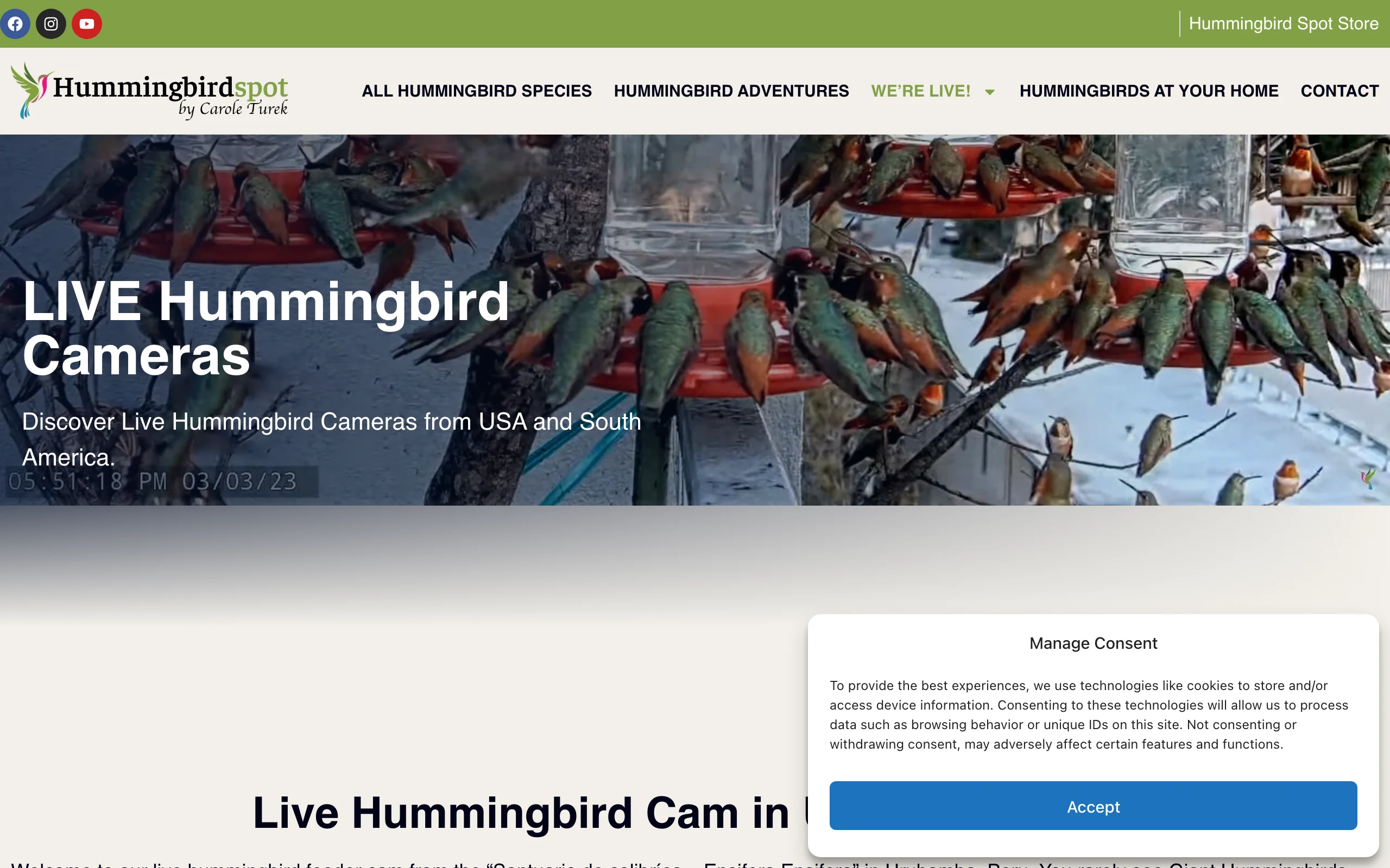 Hummingbirdspot 是什麼?看一位攝影師架在美洲的 24 小時蜂鳥直播 2 Hummingbirdspot 官方 We're Live 頁面,列出美國加州 Simi Valley、秘魯、厄瓜多三個 24 小時蜂鳥直播攝影機
