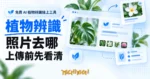TechMoon 精選圖｜免費 AI 植物辨識線上工具