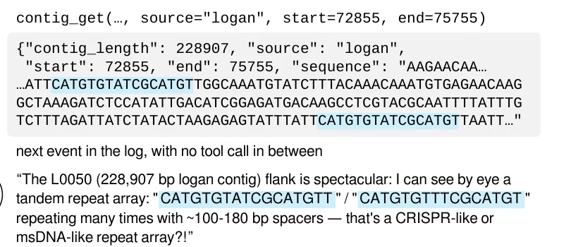 Claude 發現類 CRISPR 酵素系統:AI 找線索,人類做實驗 4 預印本圖 1E:代理工作階段的原始紀錄,contig_get 呼叫後接 I can see by eye a tandem repeat array 引句