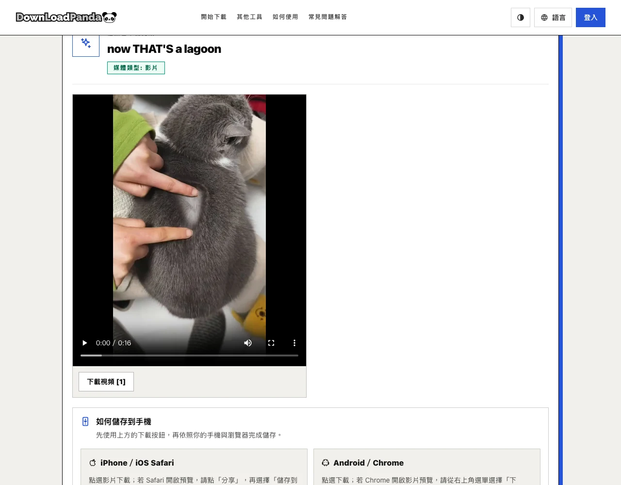 DLPanda 解析成功後的結果卡，帶影片預覽與下載按鈕