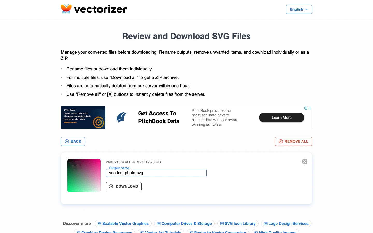 Vectorizer 整理下載頁面，列出工作階段內的檔案項目與下載移除按鈕，頁面說明檔案一小時後自動刪除